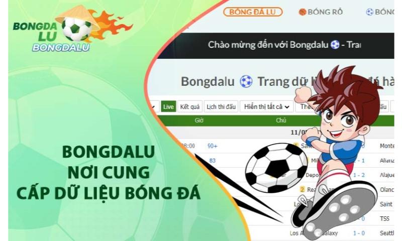 Trang tin bóng đá uy tín Bongdalu